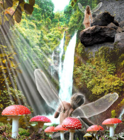 Fairies In The Woods