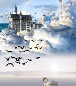 White Swan