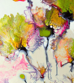 The Colour Of Spring