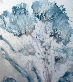 Shadows In Ice