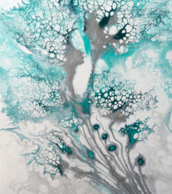 Where Winter Blooms